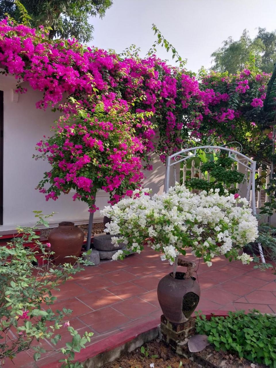 Nha Xanh Homestay Ninh Binh Eksteriør bilde