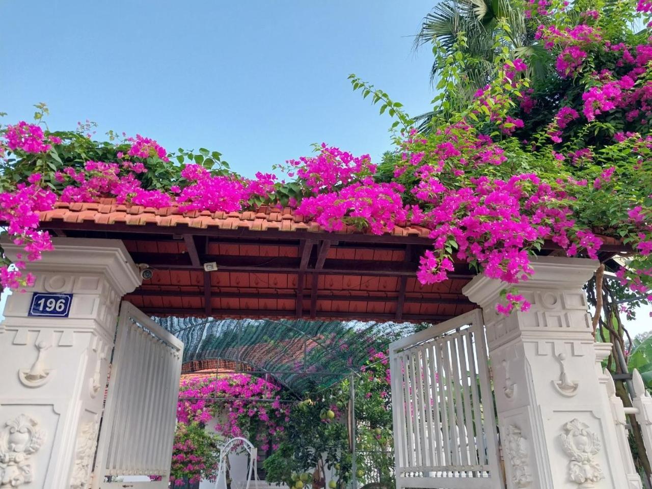Nha Xanh Homestay Ninh Binh Eksteriør bilde