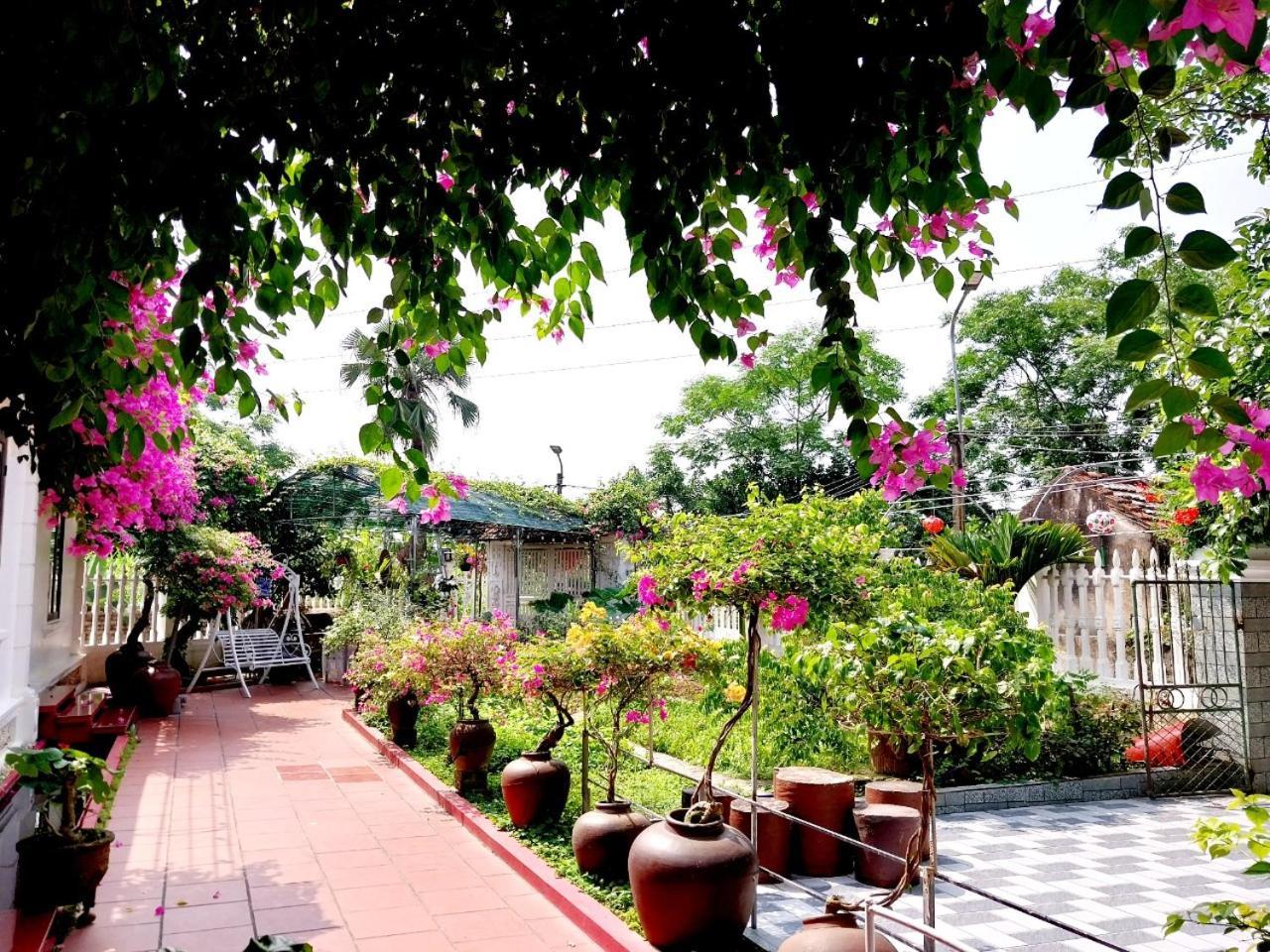 Nha Xanh Homestay Ninh Binh Eksteriør bilde